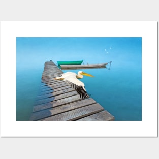 White Pelican at Ocean Dock Posters and Art